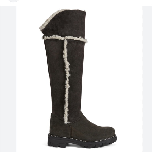 La Canadienne NEW Tammy Suede & Shearling boots - Picture 6 of 8